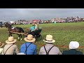 Horse Progress Days 2019 Arthur Illinois