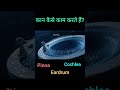 कान सिर्फ सुनते नहीं, बैलेंस भी कंट्रोल करते हैं