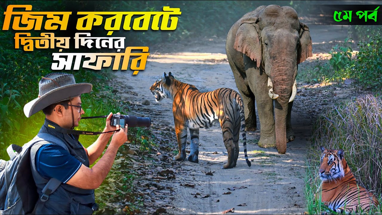 Jim Corbett | Jim Corbett Jeep Safari | Jim Corbett Park Dhikala Zone | Jim Corbett Tour Part 5