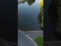 Bishop Burton Video Remix Asteroid