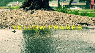 Yellow Frames By Ib4