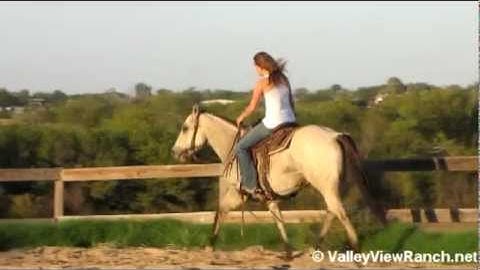 Peps Sweet Girl - Sweetie    ***For info, price, etc., go to our website***  Valley View Ranch