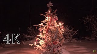Snow fall + sound of Fireplace & Christmas music (Outdoor snow-covered  Christmas tree )2H 4K screenshot 4