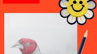 How to draw bird with Doms colour pencil # screenshot 4