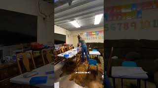 Inspiration for big families: cleaning &amp; homeschool motivation