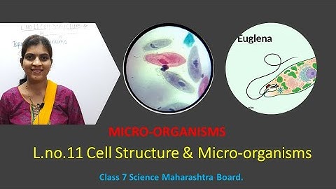 Topic:Microorganisms  Lno. 11 Cell structure & Microorganisms.(Part 3). Class 7 Maharashtra Board.