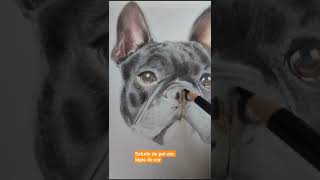 estudo do cãozinho buldog #drawing #drawing