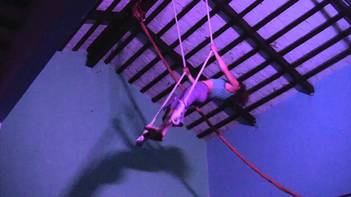 CIRCO ANA LINDER