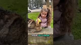Bugün Kandil,Sokak Hayvanlarını Unutmayın Inıkoruyalım
