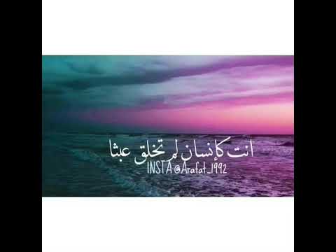 انت مهم احمد الشقيري 