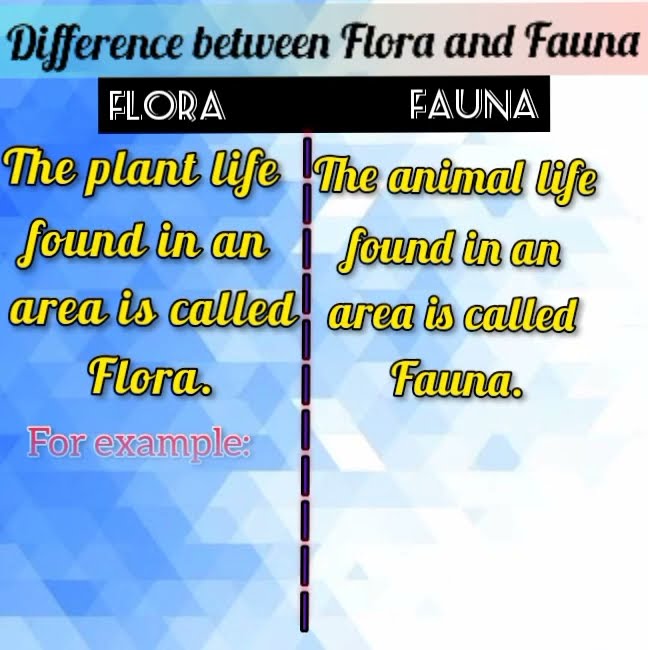 difference-between-flora-and-fauna-science-sorts-youtube
