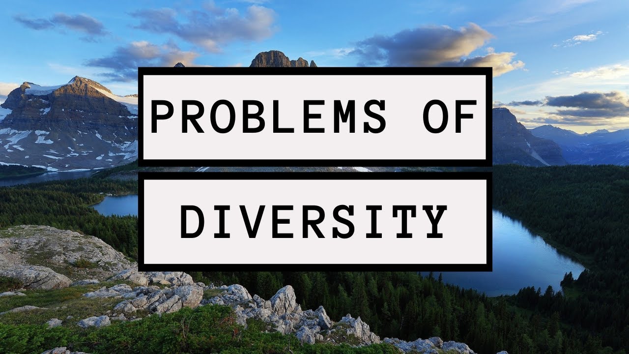 The Problem With Diversity - [Politics & Philosophy]