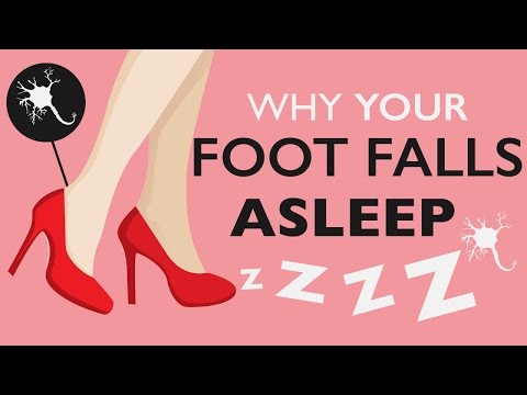 Why Does Your Foot Fall Asleep?