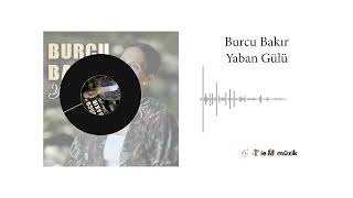 Burcu Bakır - Yaban Gülü -  Resimi