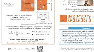 Multi agent modelling for chemotaxis in... - Daniele Proverbio - SysMod - Poster - ISMB 2022