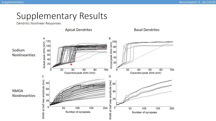 Talk: A Tale of Two Trees: Modeling Apical and Basal Tree Contribution to L2/3 V1 Pyramidal Cell Or…