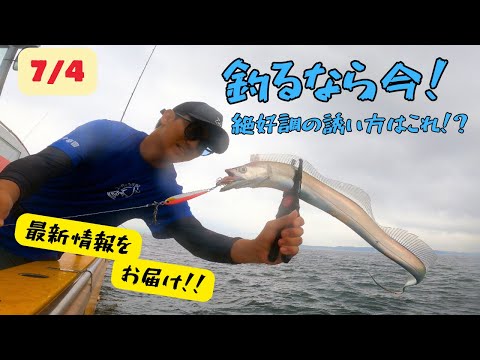 tomさん専用太刀魚ジギング　ジグセット 7/4 まだまだ爆釣！！東京湾タチウオジギング。釣るなら今です