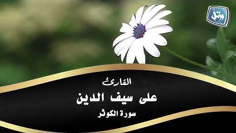 القارئ على سيف الدين سورة الكوثر