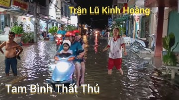 Tam Bình - Vĩnh Long , thất thủ khi triều cường dâng cao