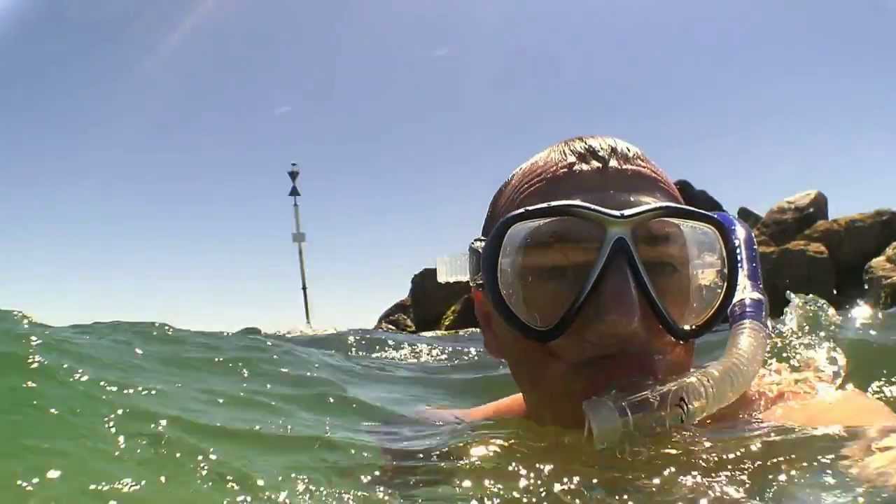 Snorkeling Semaphore Adelaide TEASER YouTube
