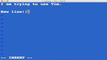 Vim 教學 01: Vim 極速入門