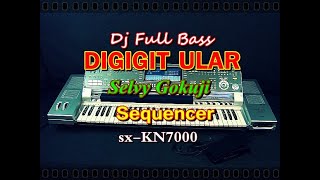 Dj Di Gigit Ular - Selvy Gokuji (Karaoke) /KN7000