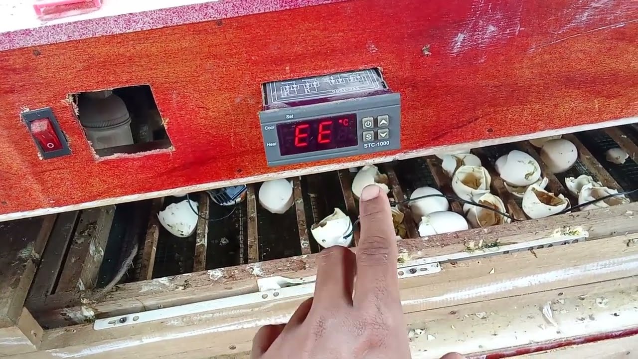 Kode error EE STC 1000