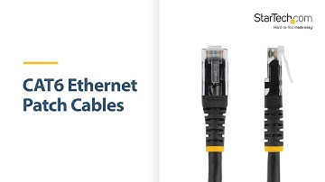 CAT6 Ethernet Patch Cables | StarTech.com