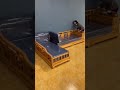 روعه الركنه دى بجد Shorts روعه الركنه دى بجد Shorts