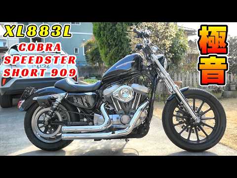 Harley] I'm putting a Cobra exhaust on my Sportster! COBRA