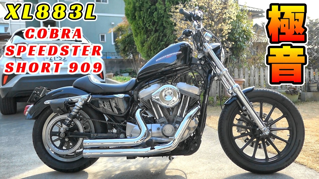 Harley] I'm putting a Cobra exhaust on my Sportster! COBRA