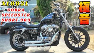 Harley] I'm putting a Cobra exhaust on my Sportster! COBRA