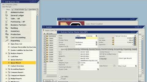 SAP Business One -- The Simple Yet Powerful Solution for Generating Custom Reports: Product Demo