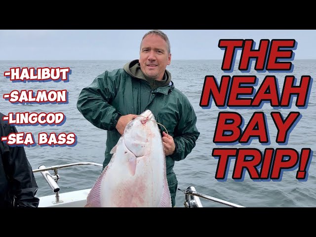 Neah Bay with Lancer jigs! 