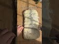 Braided Cinnamon Muffins Ingredients Dough 470 g flour 1 egg... #Shorts #cookwithhali