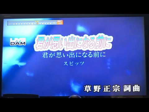 【歌ってみた】君が思い出になる前に スピッツ