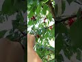 Люблю я вот это дело...