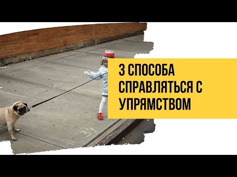 3 способа справляться с упрямством у детей
