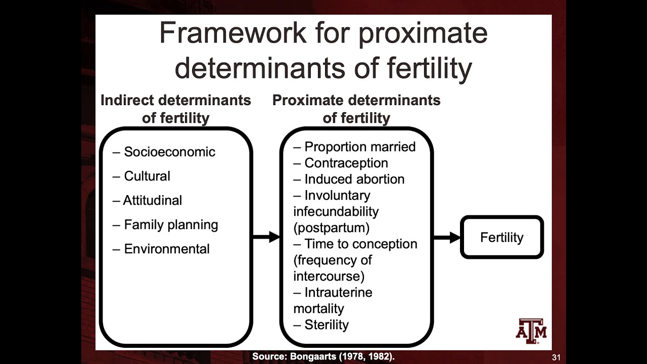 Day 14. Fertility (10/06/2020)