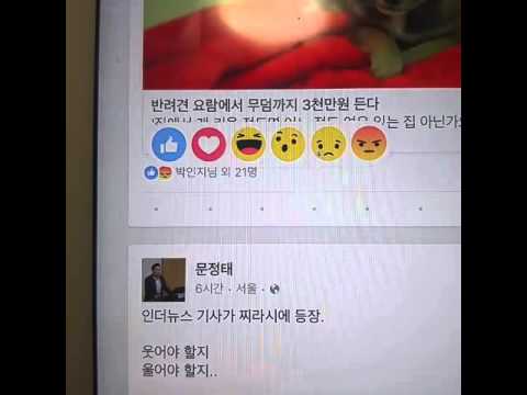인더뉴스 페이스북 아이콘이 살아있다 