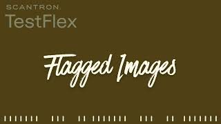 Clearing Flagged Images in TestFlex