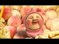 【予告編】DVDこびと観察入門　傑作選　モモ　ハナ　シボリ　ケダマ編