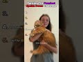 Ranking The Funniest Upside Down Challenge moments 🙃 #shorts #challenge #viral #trending