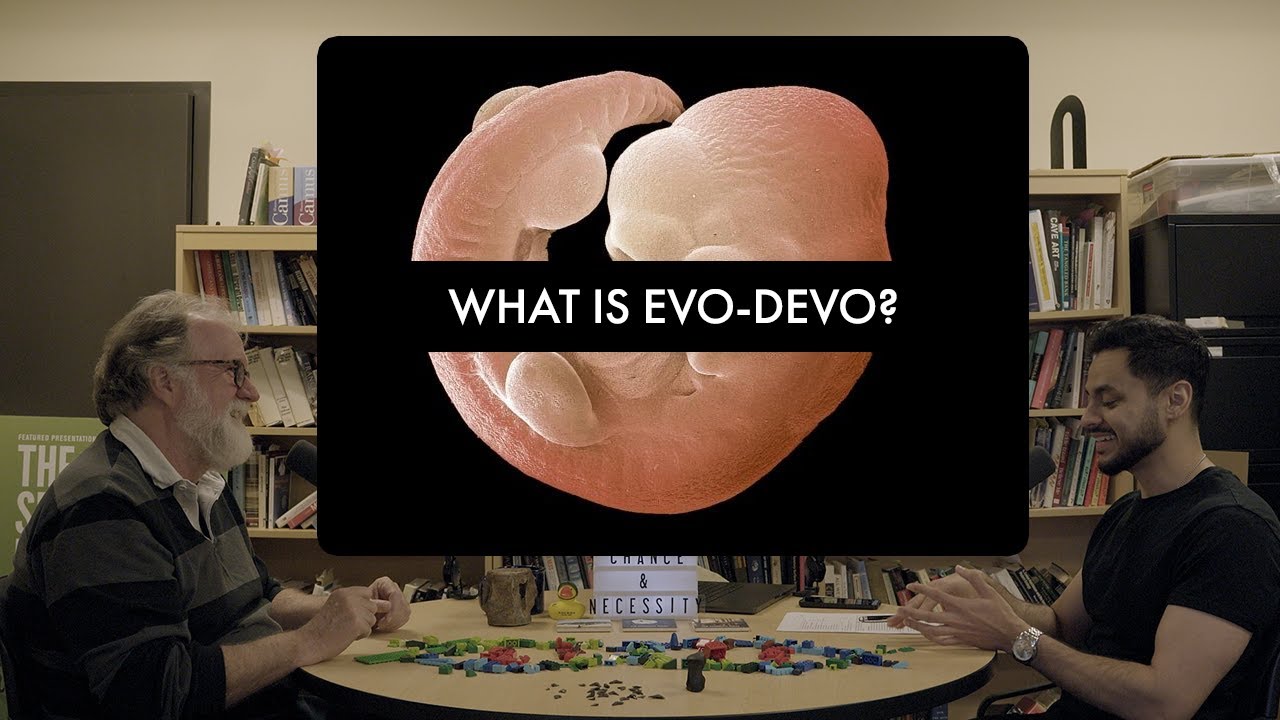 Evo-Devo 101: The Science of How Bodies Evolve - YouTube