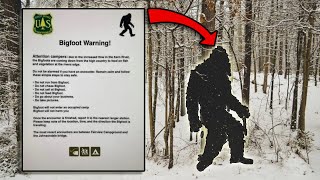 This Unbelievable Bigfoot Warning Will SHOCK You