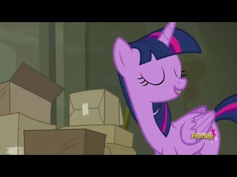 Twilight wants to organize - The Saddle Row Review
