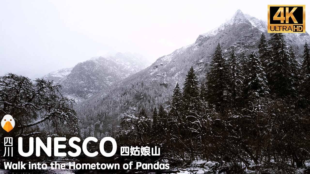 Mt. Siguniang, Sichuan🇨🇳 Настоящая атмосфера в «Прогулке в одиночестве по снегу» (4K UHD)