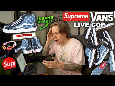 busta vans busta vans