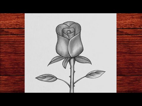 Kolay Karakalem Gül Resmi Çizimi - Adım Adım Kolay Yoldan Gül Nasıl Çizilir - Karakalem Çiçek Çizimi