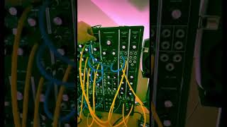 Moog Model 15 sizzle